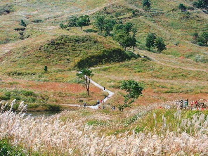 神河町】絶景「砥峰高原のススキ」完全ガイド！アクセスや見頃をご紹介